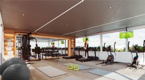 Render or image number  8