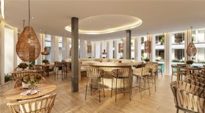 Render or image number  7