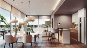 Render or image number  8