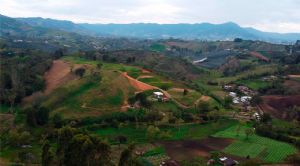 Render o imagen número  7