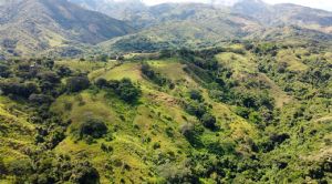 Render o imagen número  5