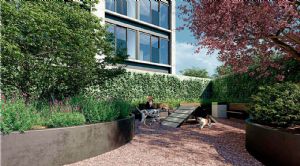 Render o imagen número  4