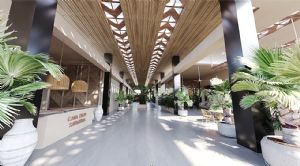 Render o imagen n&uacute;mero  6