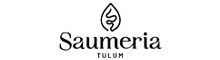PROYECTO SAUMERIA LOTES