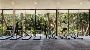 Render o imagen número  8