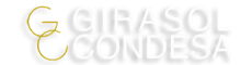 PROYECTO GIRASOL CONDESA