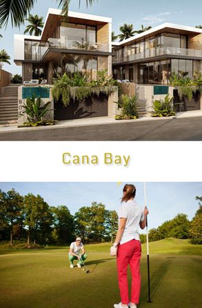 Proyectos inmobiliarios sobre planos, en preventa, en construcción y terminados para la venta en Punta Cana - Punta Cana
