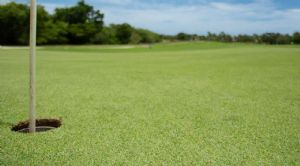 Render or image number  7