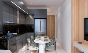 Render or image number  12