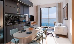 Render or image number  14