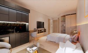 Render or image number  16