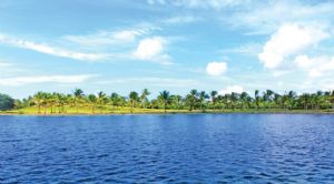 Render o imagen número  5