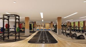 Render o imagen número  8