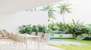 Render o imagen número  16