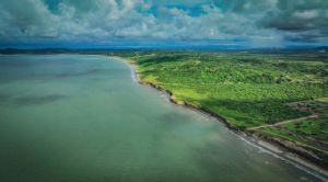 Render o imagen número  16