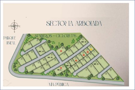 Imagen de Sector: La Arbolada - Simaruba