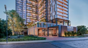 Render o imagen n&uacute;mero  10