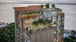 Render o imagen n&uacute;mero  12