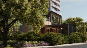 Render o imagen n&uacute;mero  15