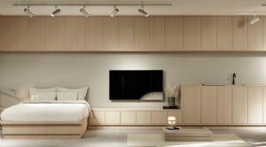 Render or image number  9