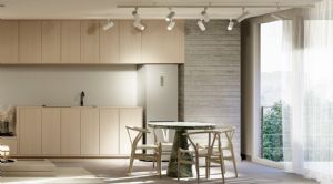 Render or image number  10