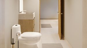 Render or image number  6