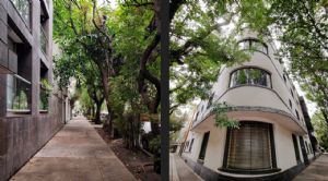 Render or image number  6