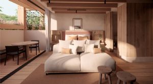 Render or image number  8