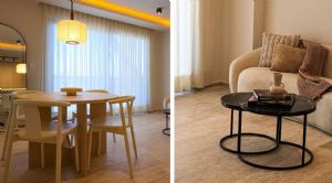 Render or image number  6