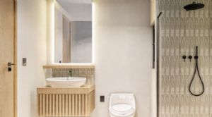 Render or image number  11