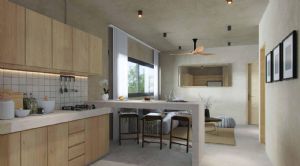 Render or image number  5