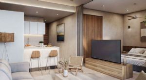 Render or image number  2