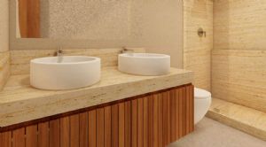 Render or image number  13