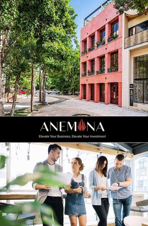 Desarrollos inmobiliarios sobre planos, en preventa, en construcci&oacute;n y terminados para la venta en Aldea Zama - Tulum