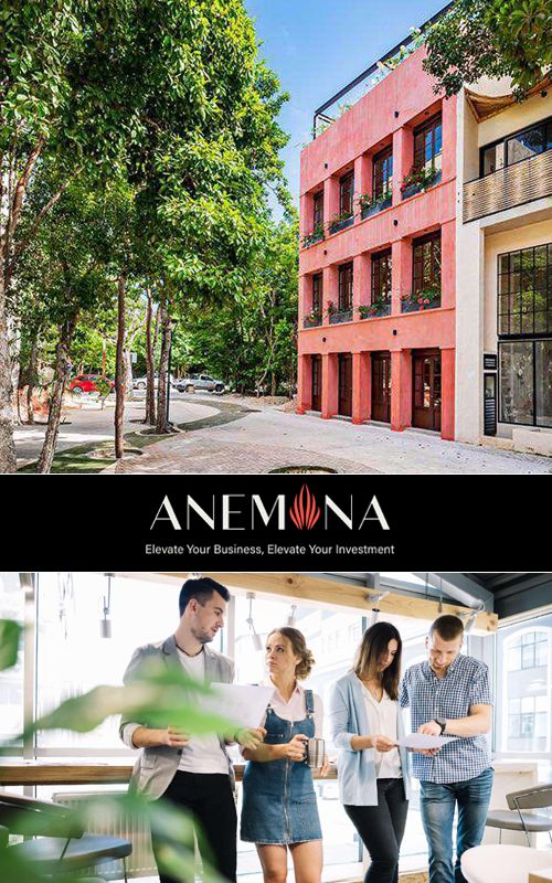 PROYECTO DE COMMERCIAL PREMISESANEMONA