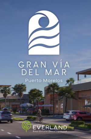 Locales Comerciales